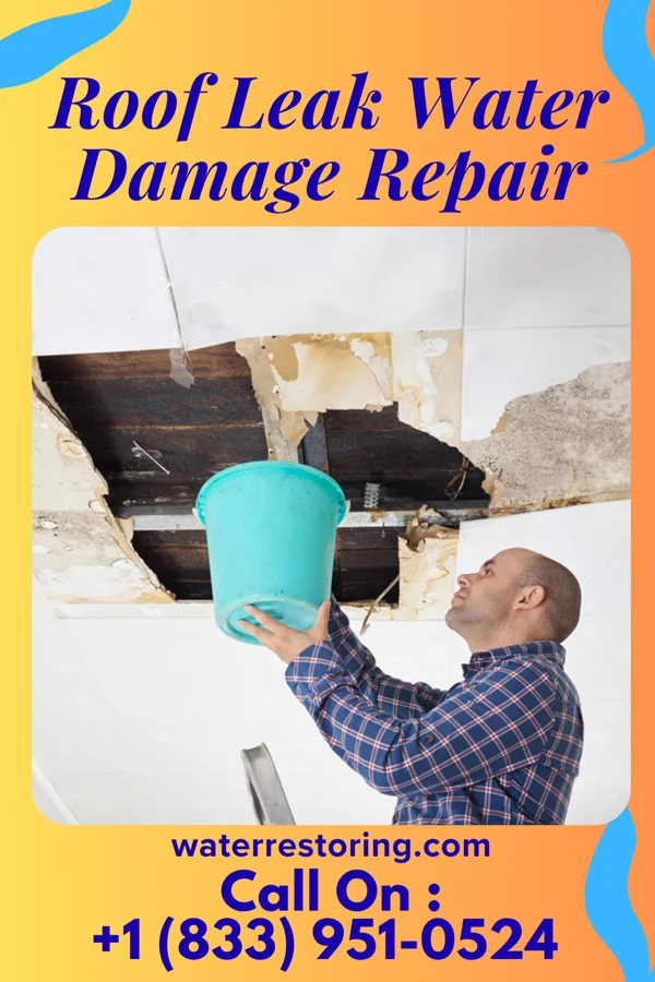 Roof Leak Water Damage Repair in Ephraim, WI