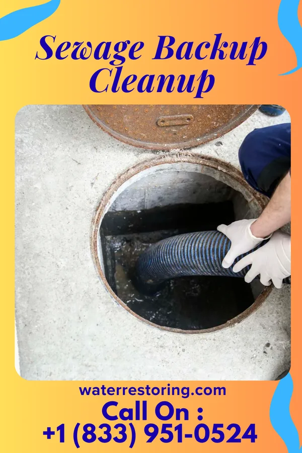 Sewage Backup Cleanup in Ephraim, WI